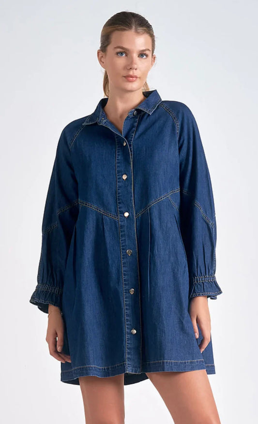 Olivia Long Sleeve Denim Dress